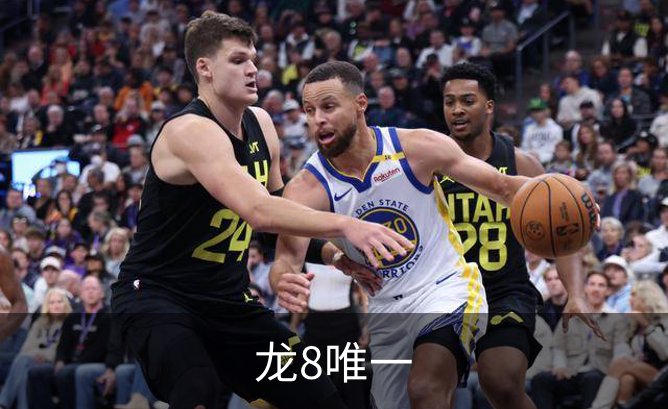 龙8唯一简介